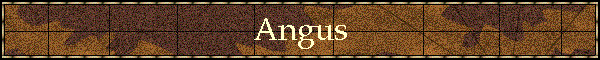 Angus
