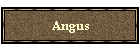 Angus