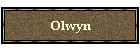 Olwyn