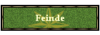 Feinde